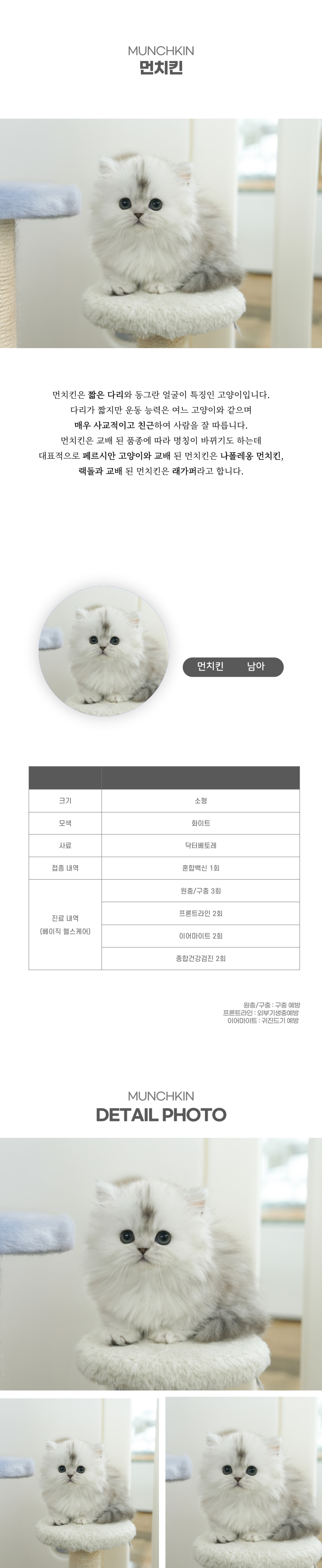 먼치킨_상세이미지_2